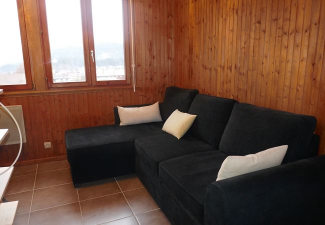 Appartement Gérardmer Séjour à Gérardmer, parking privé, résidence, calme, La Perle des Vosges , couple, professionnels