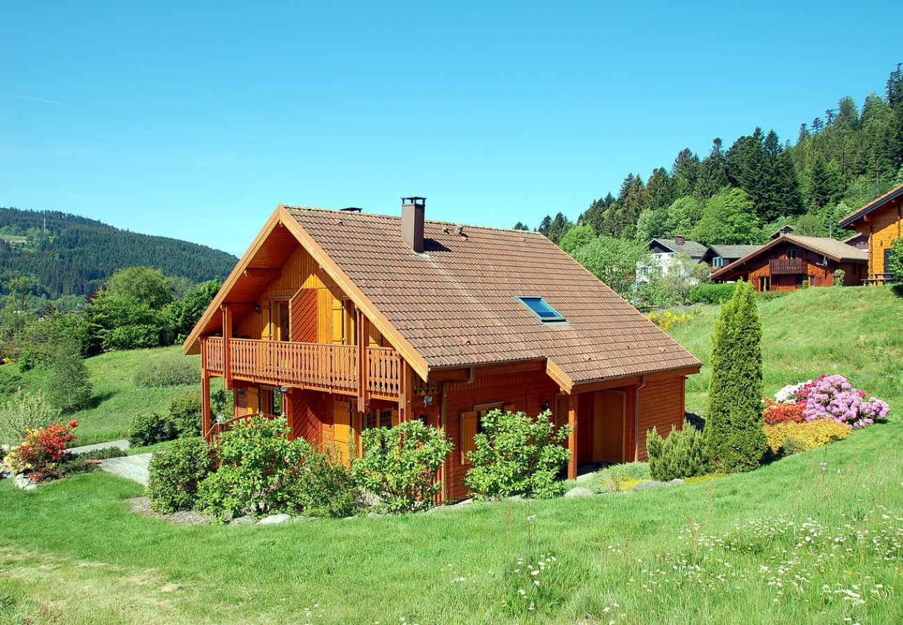 Chalet à Xonrupt-Longemer vacances en famille, montagne, Vosges, chalet, nature, Xonrupt-Longemer