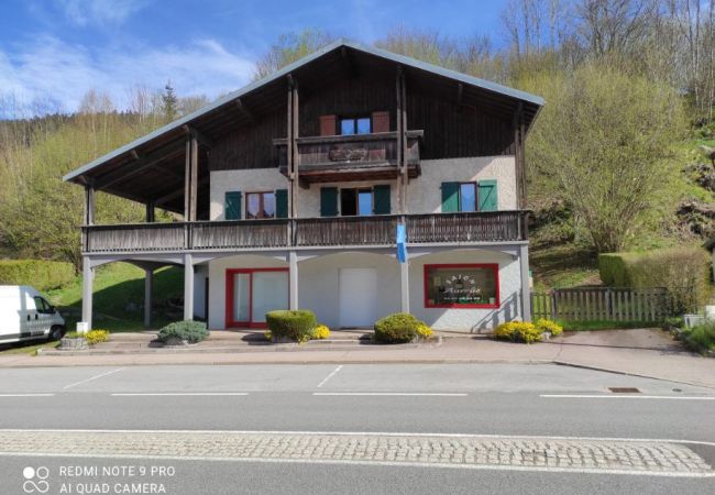 vacances dans les vosges, séjour en famille, appartement, confort, lac, pistes de ski 